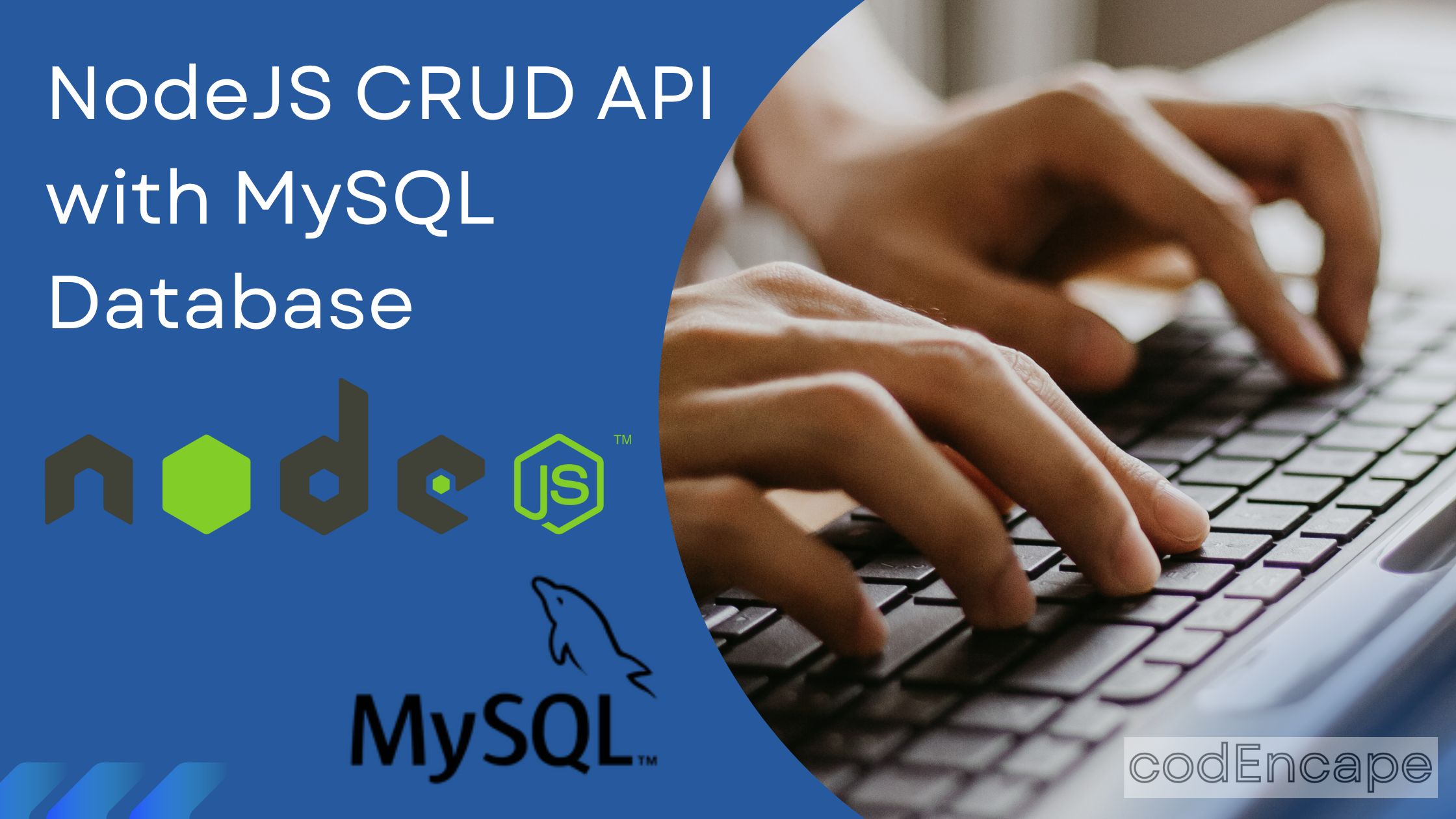 Node.JS CRUD API with MySQL Database 